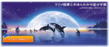 ブログリンク